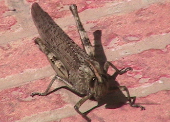 Img_0070 Img_0070