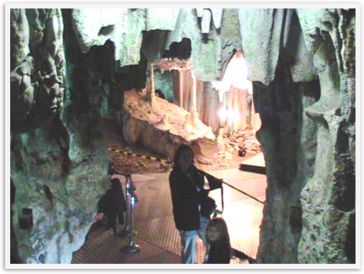 Img_0097 Img_0097