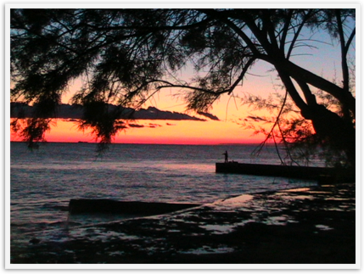 Img_0120 Img_0120