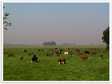 Img_0125 Img_0125