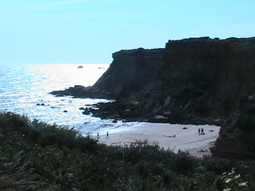Img_0187 Img_0187