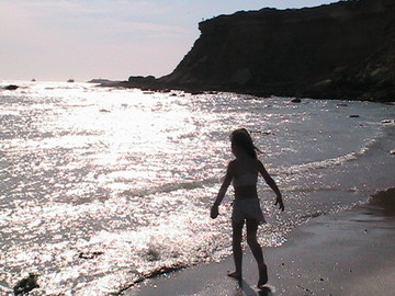 Img_0196 Img_0196