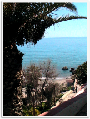 Img_0203 Img_0203