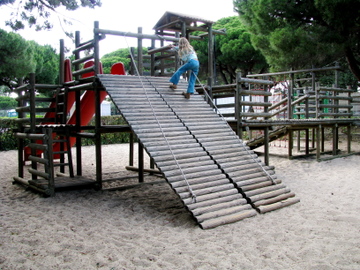 Img_0243 Img_0243