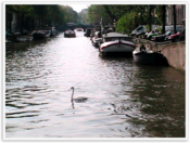 Img_0295 Img_0295