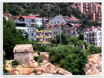 Img_0409 Img_0409