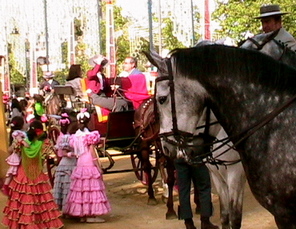 Img_0467 Img_0467