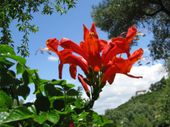 Img_0488 Img_0488