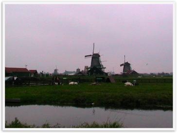 Img_0575 Img_0575
