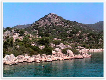 Img_0595 Img_0595