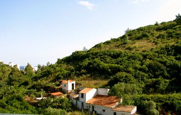 Img_0609 Img_0609