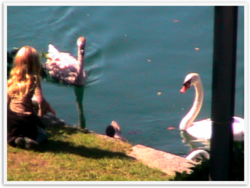 Img_0628 Img_0628