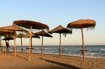 Img_0665 Img_0665