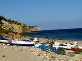 Img_0711_3 Img_0711_3