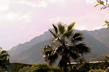 Img_0723_2 Img_0723_2