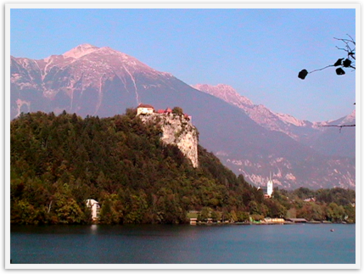 Img_0735 Img_0735