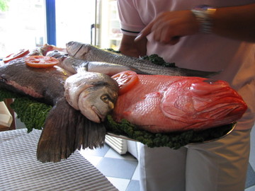 Img_0766 Img_0766
