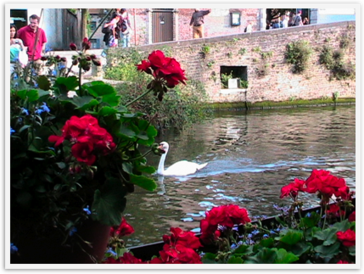 Img_0854 Img_0854