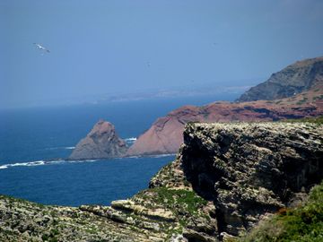 Img_0918 Img_0918