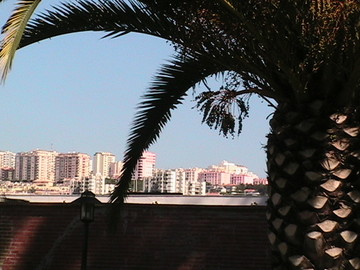 Img_0993 Img_0993