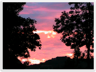 Img_1244 Img_1244