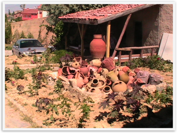 Img_1333 Img_1333