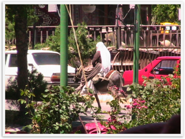 Img_1500 Img_1500