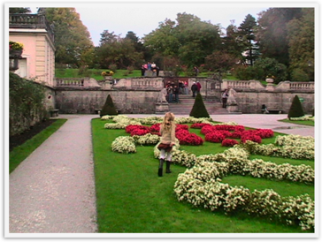 Img_1501 Img_1501