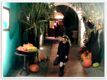 Img_1543 Img_1543