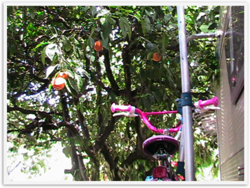 Img_1690 Img_1690