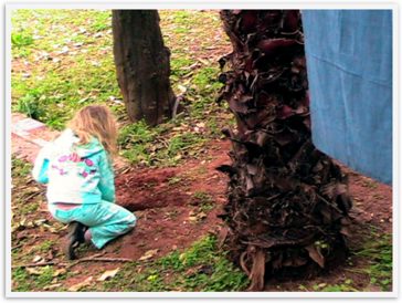 Img_1738 Img_1738