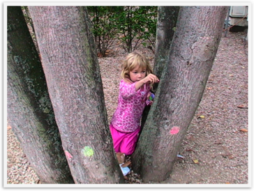 Img_1844 Img_1844