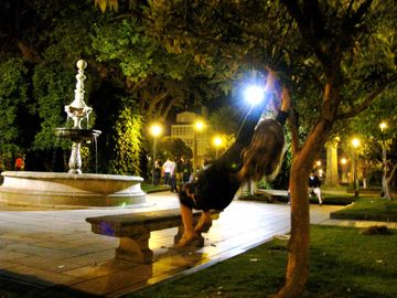Img_2348_2 Img_2348_2
