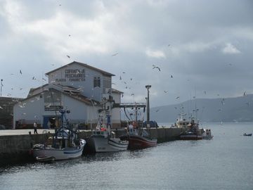 Img_2577 Img_2577