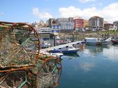 Img_2717_2 Img_2717_2