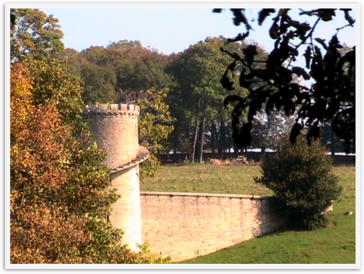 Img_2761 Img_2761