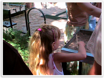 Img_2802 Img_2802