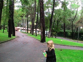 Img_2955 Img_2955