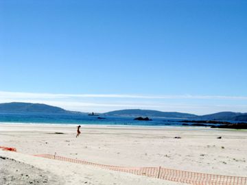 Img_2973_3 Img_2973_3