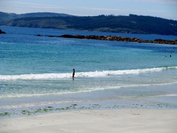 Img_2976 Img_2976