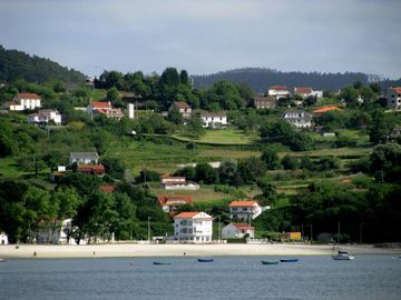 Img_3185 Img_3185