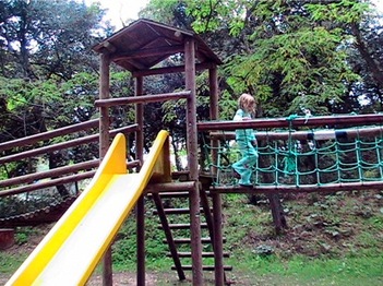 Img_3227 Img_3227