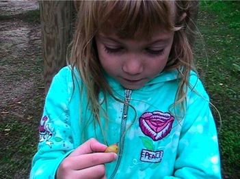 Img_3237 Img_3237