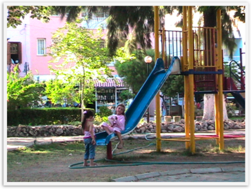 Img_3253 Img_3253