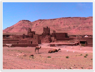Img_3269 Img_3269