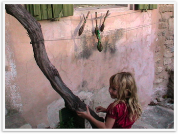 Img_3331 Img_3331