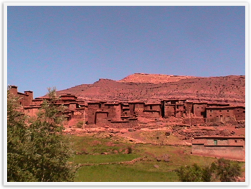 Img_3348 Img_3348