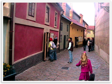 Img_3387 Img_3387