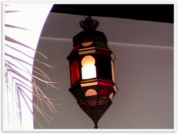 Img_3487 Img_3487