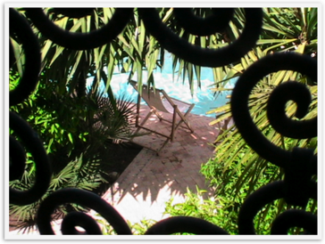 Img_3537 Img_3537